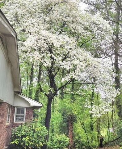 1256 E Piedmont Road, Marietta, GA 30062