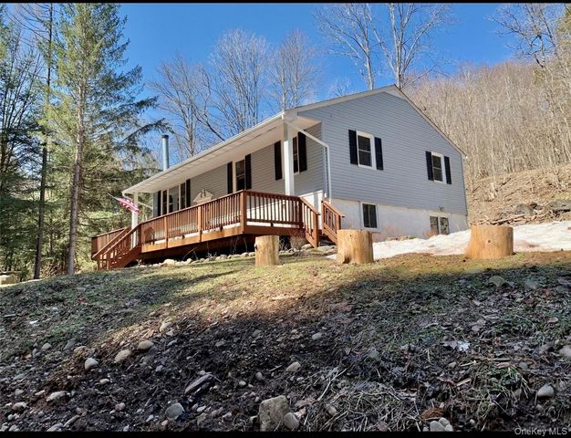 604 Basket Road, Long Eddy, NY 12760