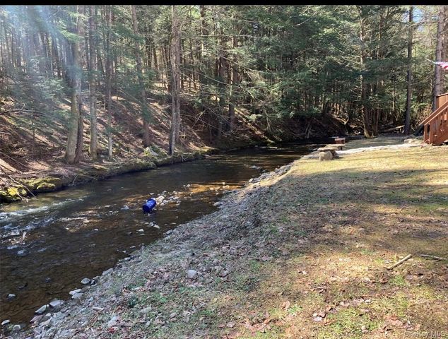 604 Basket Road, Long Eddy, NY 12760