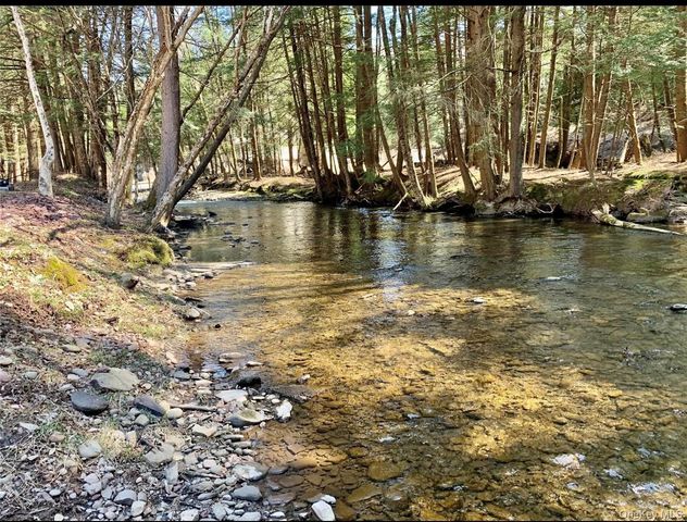 604 Basket Road, Long Eddy, NY 12760