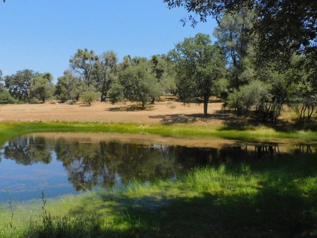 5383 Dream Ranch Cir, Placerville, CA 95667