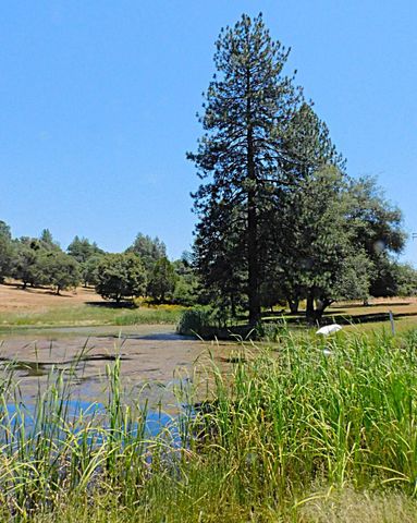 5383 Dream Ranch Cir, Placerville, CA 95667