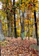 Lot 17 Vista PKWY, Hardy, VA 24101