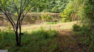58.99 ACRES Bear Creek Road, Moreland, GA 30259