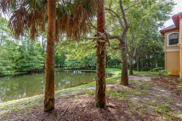 2262 CHIANTI PLACE 5-0526, Palm Harbor, FL 34683