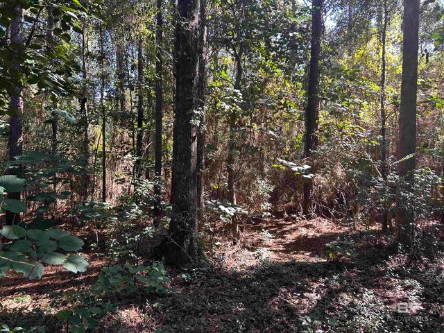 0 New Neck Road, Mobile, AL 36695