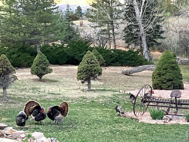 908 Willowrock Drive, Loveland, CO 80537