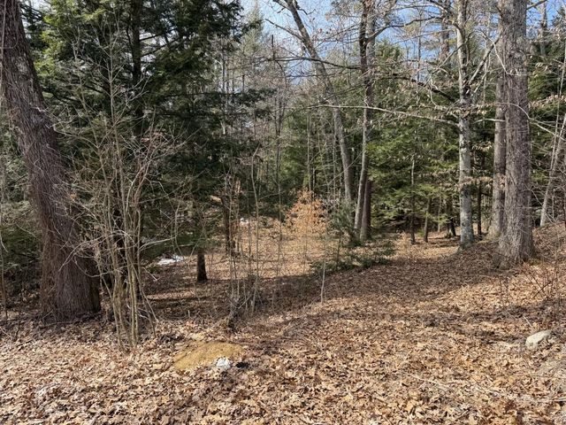 163 Pumpkin Hill Road, Warner, NH 03278