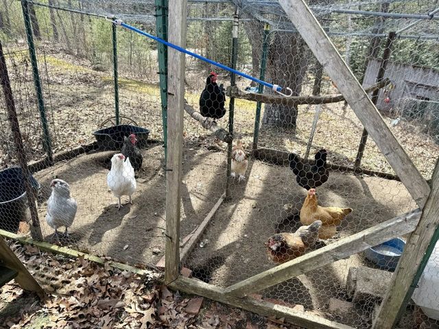 163 Pumpkin Hill Road, Warner, NH 03278