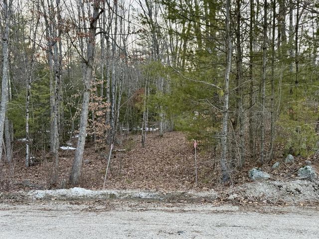 163 Pumpkin Hill Road, Warner, NH 03278