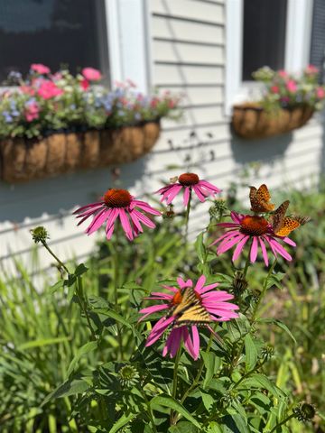 163 Pumpkin Hill Road, Warner, NH 03278