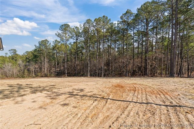 58 Magnolia Grove Way, Cameron, NC 28326