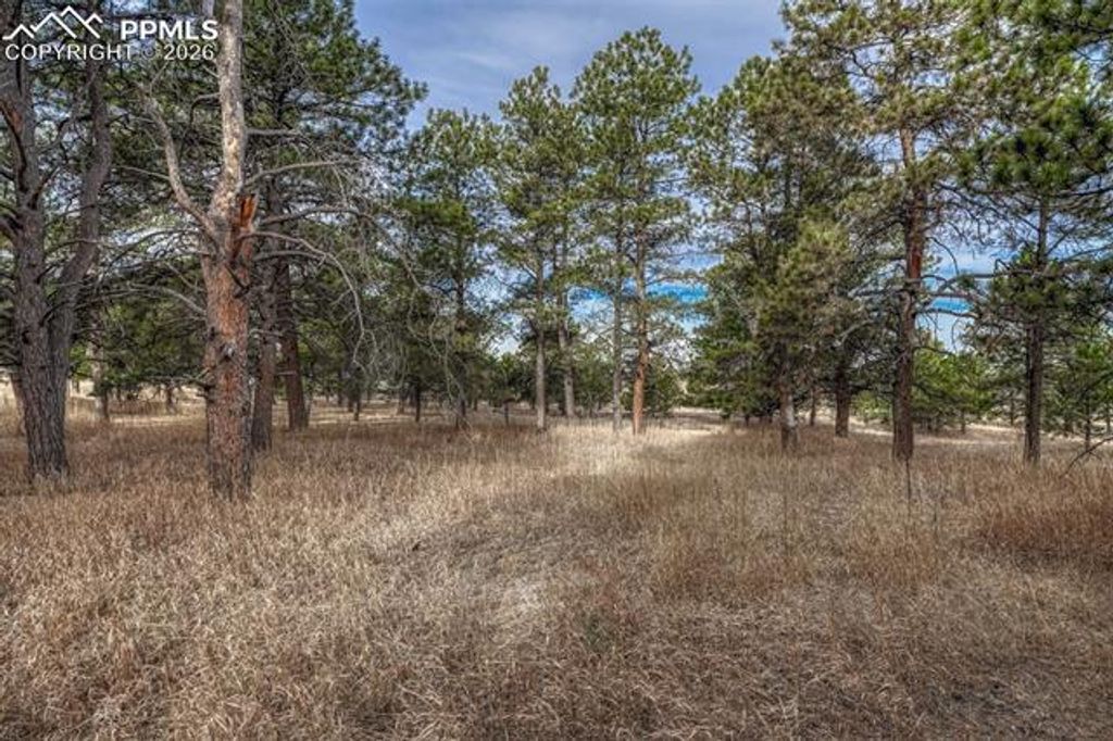 16511 Early Light Drive, Colorado Springs, CO 80908 — photo 3