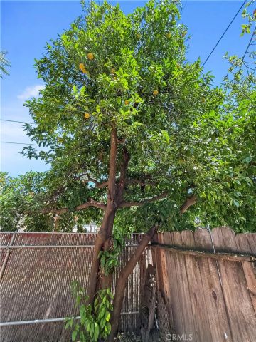 1685 Washington Avenue, Oroville, CA 95966