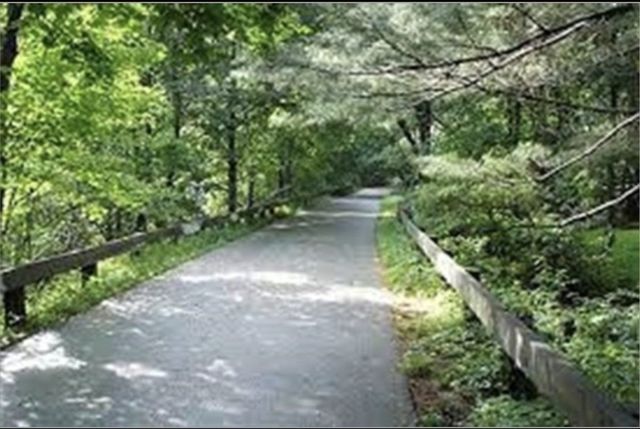 16 Bedford Street 16, Lexington, MA 02421