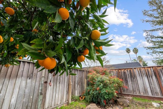 4537 Heppner Lane, San Jose, CA 95136