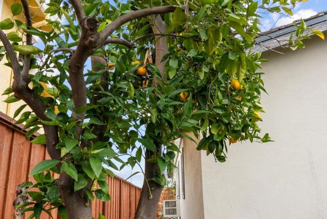 4537 Heppner Lane, San Jose, CA 95136