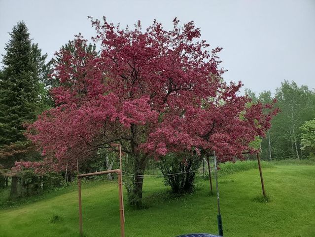 500 10th Avenue NW, Chisholm, MN 55719