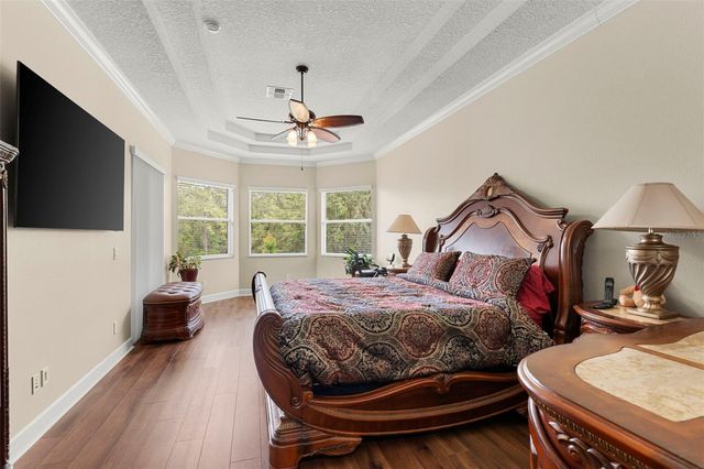 6234 TREMAYNE DRIVE, Mount Dora, FL 32757