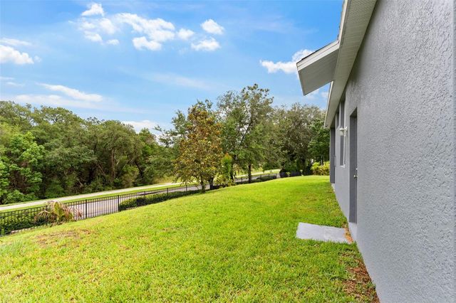 6234 TREMAYNE DRIVE, Mount Dora, FL 32757