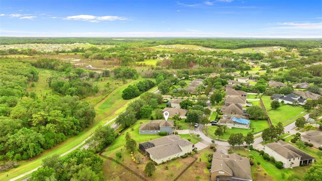 6234 TREMAYNE DRIVE, Mount Dora, FL 32757