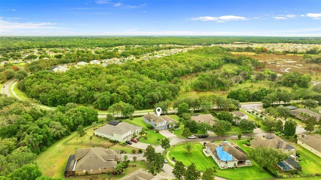 6234 TREMAYNE DRIVE, Mount Dora, FL 32757