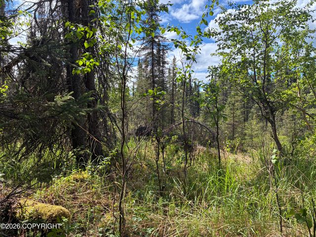 3846 N White Knight Drive, Wasilla, AK 99623