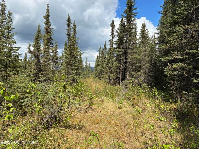 3846 N White Knight Drive, Wasilla, AK 99623
