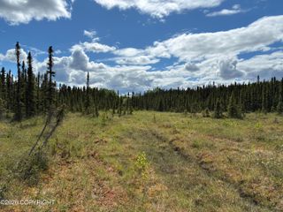 3846 N White Knight Drive, Wasilla, AK 99623