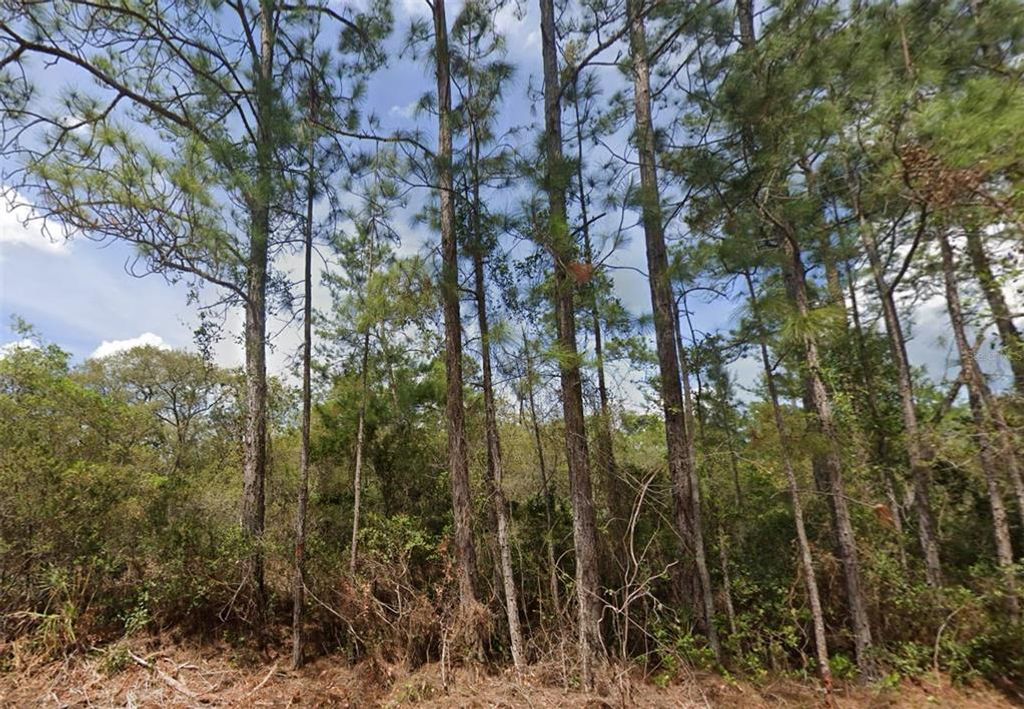 159 SHOREWOOD STREET, Georgetown, FL 32139