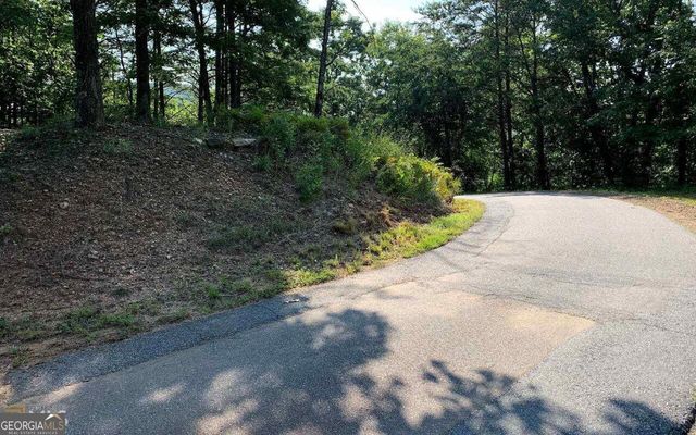 LOT 7 Golden Oak Estates, Warne, NC 28909