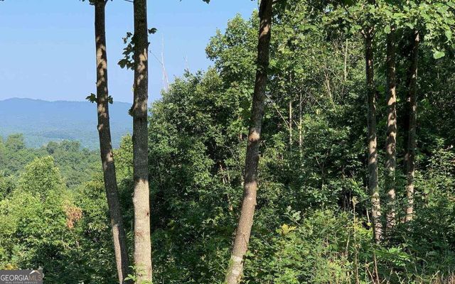 LOT 7 Golden Oak Estates, Warne, NC 28909