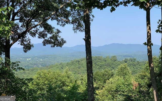 LOT 7 Golden Oak Estates, Warne, NC 28909