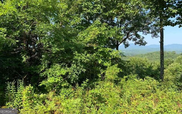 LOT 7 Golden Oak Estates, Warne, NC 28909