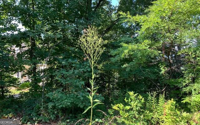LOT 7 Golden Oak Estates, Warne, NC 28909