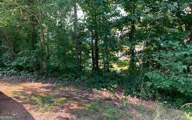 LOT 7 Golden Oak Estates, Warne, NC 28909