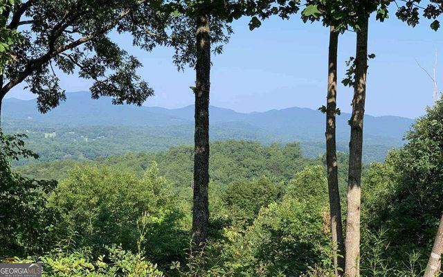 LOT 7 Golden Oak Estates, Warne, NC 28909