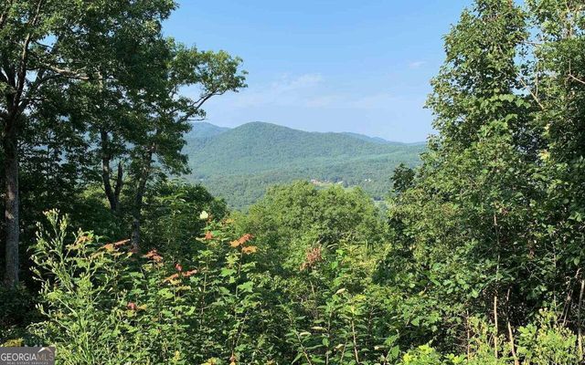 LOT 7 Golden Oak Estates, Warne, NC 28909