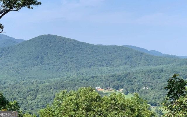 LOT 7 Golden Oak Estates, Warne, NC 28909