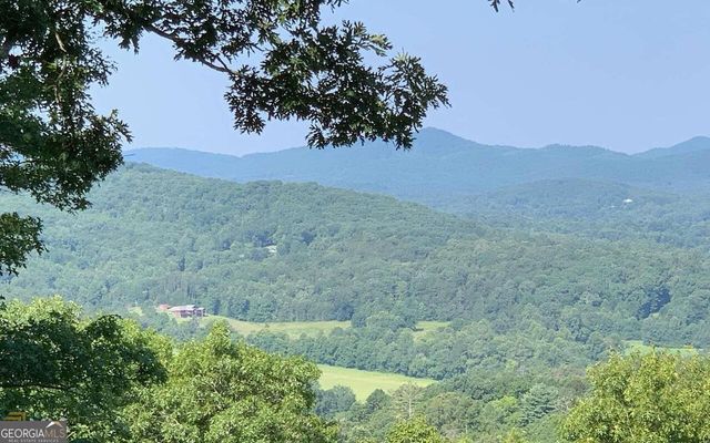 LOT 7 Golden Oak Estates, Warne, NC 28909