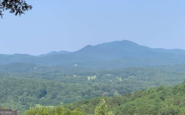 LOT 7 Golden Oak Estates, Warne, NC 28909