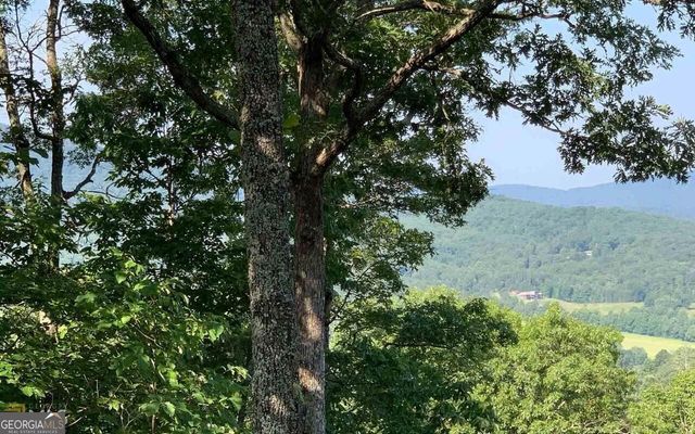 LOT 7 Golden Oak Estates, Warne, NC 28909