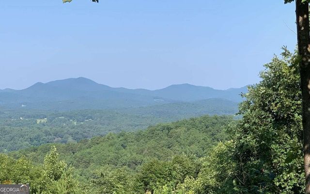 LOT 7 Golden Oak Estates, Warne, NC 28909