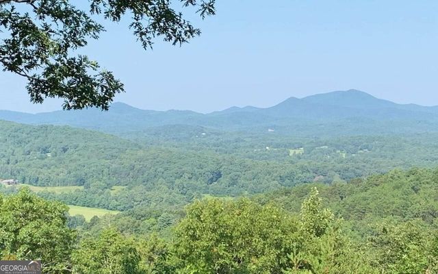 LOT 7 Golden Oak Estates, Warne, NC 28909