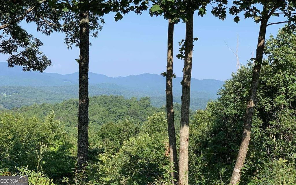 LOT 7 Golden Oak Estates, Warne, NC 28909
