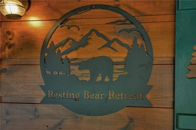 482 N Old Aska Road, Blue Ridge, GA 30513