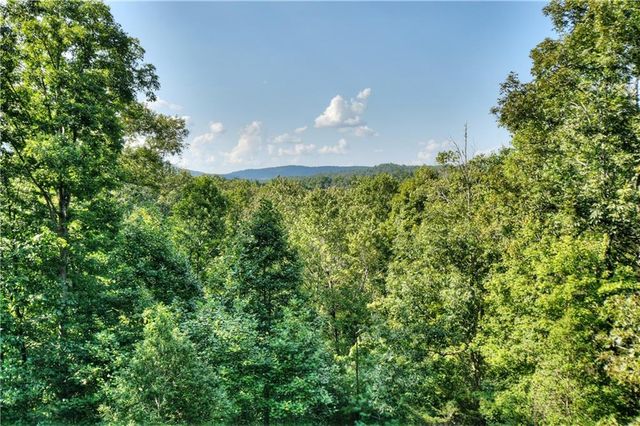 482 N Old Aska Road, Blue Ridge, GA 30513