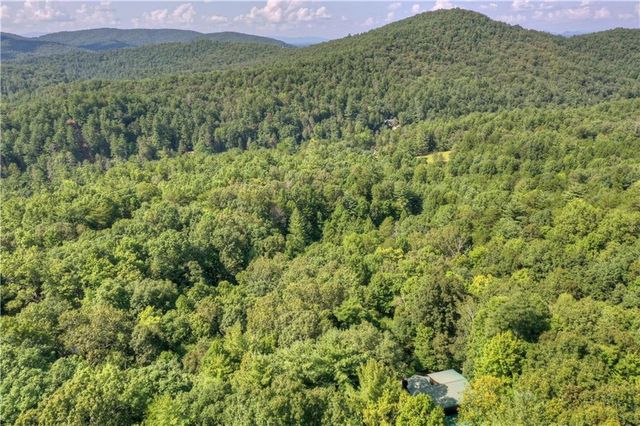 482 N Old Aska Road, Blue Ridge, GA 30513