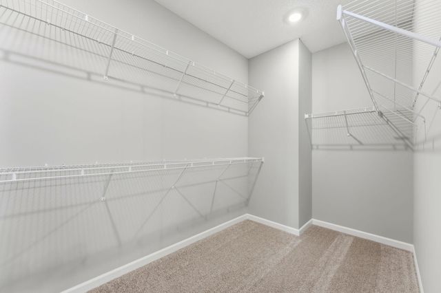 10633 29th Street NE, Saint Michael, MN 55376