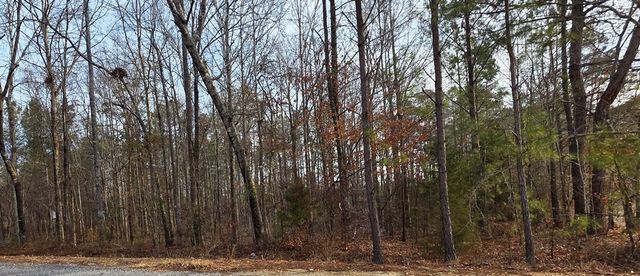 0 Lee Road 0143, Salem, AL 36874